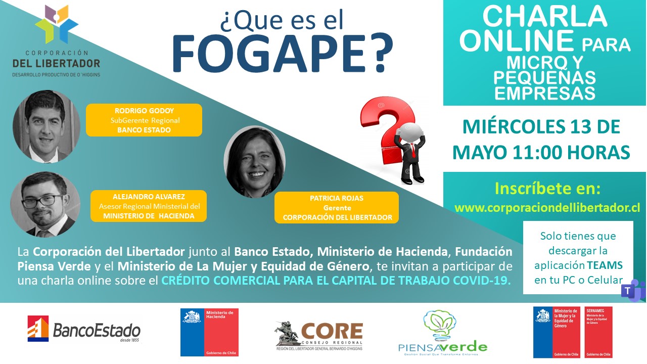 ¿QUÉ ES EL FONDO DE GARANTÍA PARA PEQUEÑOS EMPRESARIOS (FOGAPE)?‼️