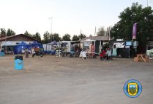 PLAZA DE BOLSILLO EN EL PARQUE MUNICIPAL